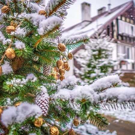 Usadba Belovezhskoye Pomestye Hotel Kamenyuky Luaran gambar